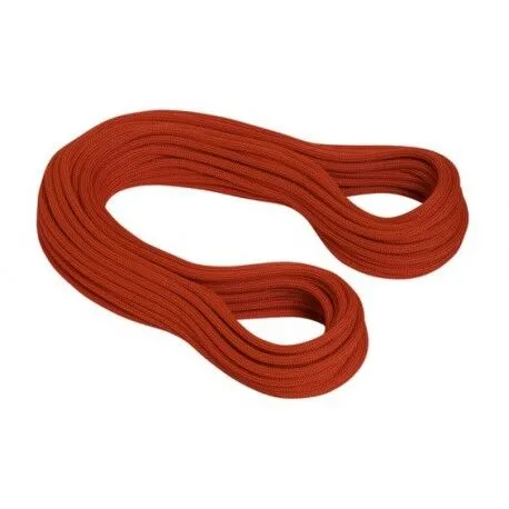 Mammut - 9.2 Revelation Dry - Climbing Rope