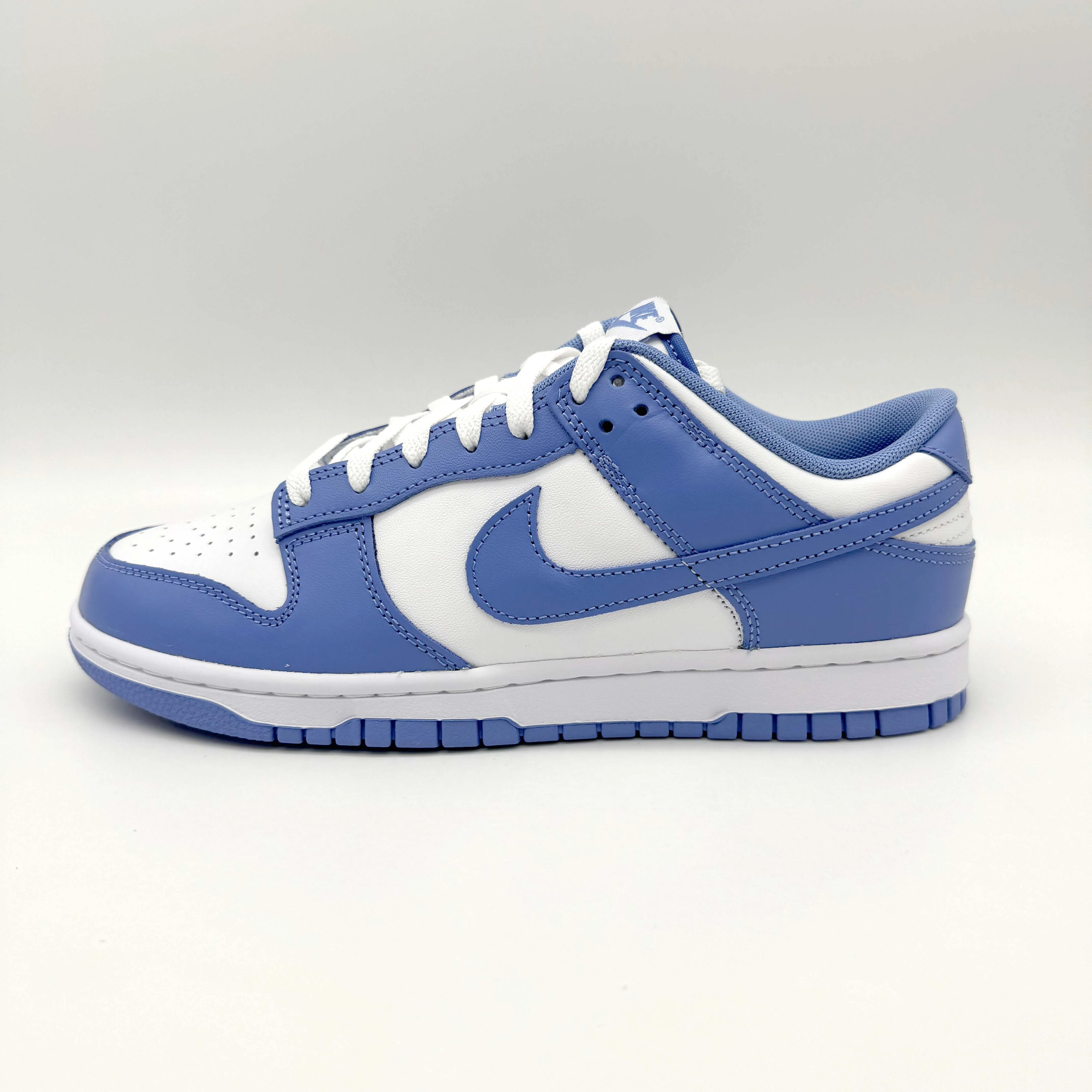 Nike Dunk Low Polar Blue