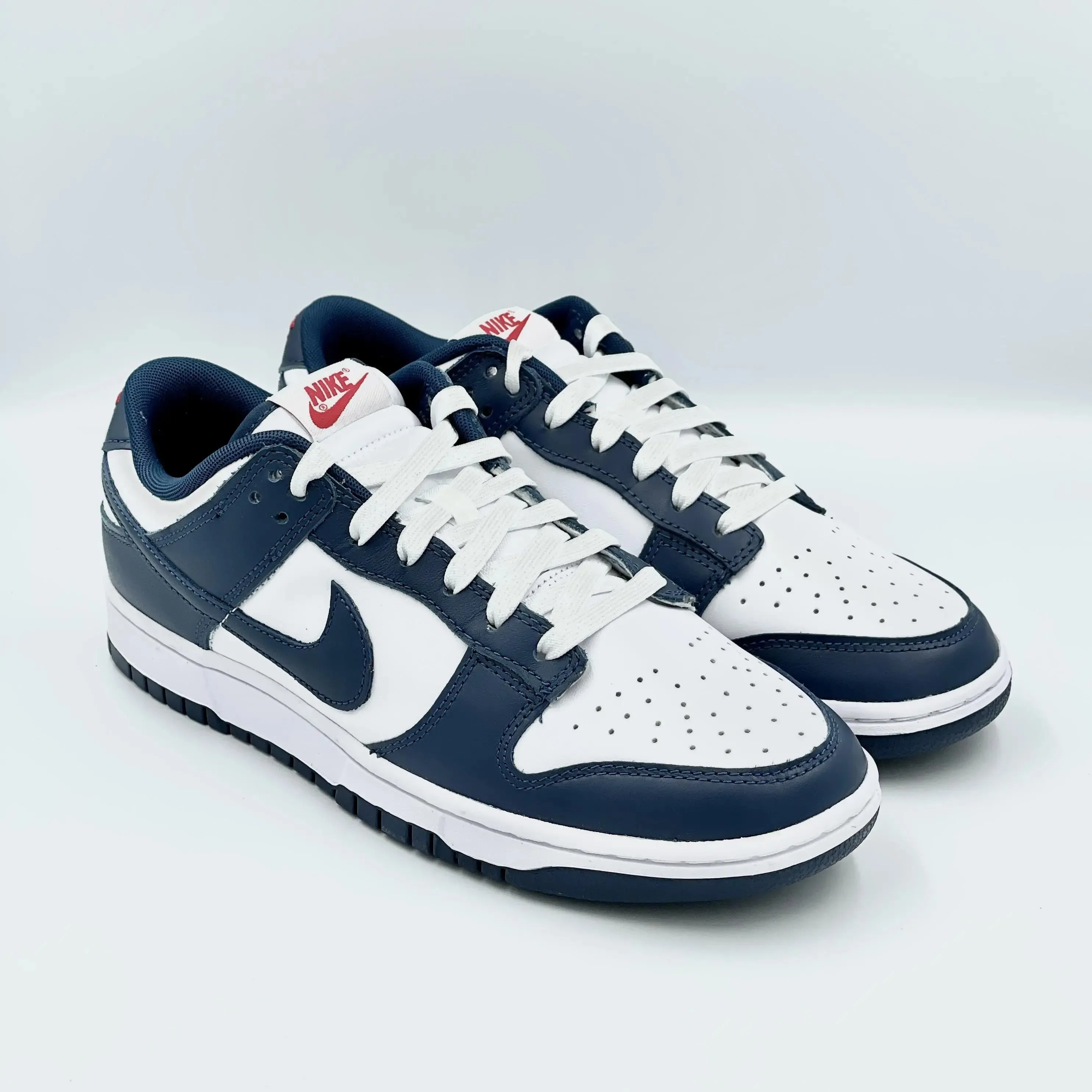 Nike Dunk Low Valerian Blue