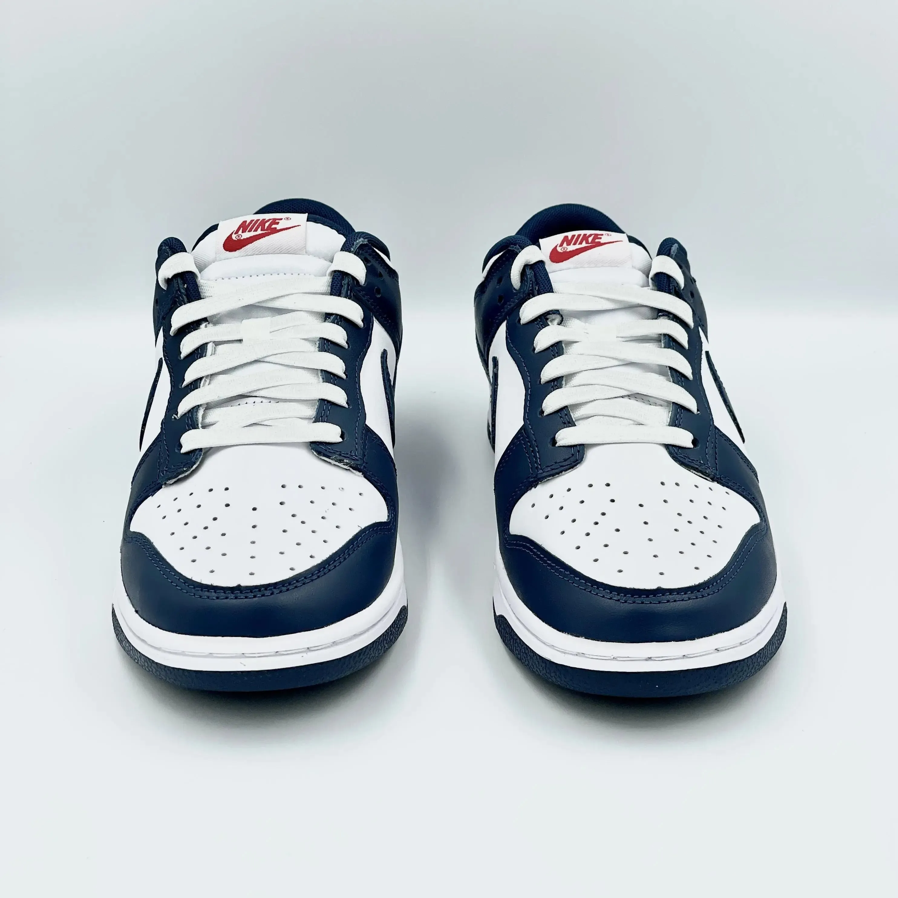 Nike Dunk Low Valerian Blue