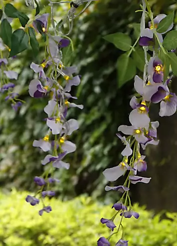 Streetwize 60 LED Set of 6 Solar Wisteria Outdoor Light | Kaleidoscope